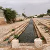 tarqoos
