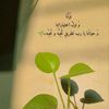 basmaty_