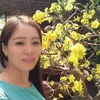 oanh.le4666