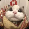 miniekk._
