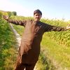 saifalkhan086