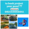 fishindustryconsultant