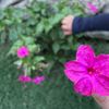 دُعـاء | Doaa ⚜️