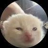 mlinhhihi26