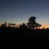 peterdemeyer1