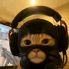fishdzne