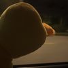 quiet_sheep