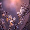 majestic_shine