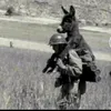 soldadito_con_un_burro