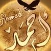 ahmed.omar1445