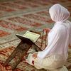 chahinaz462