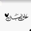 nouralajami0