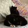user_028381083