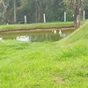 robertaalvesreal.com