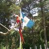 carlosmonterroso63