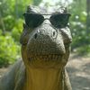 dinosuper89
