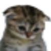 user100620241