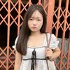 bambu._b