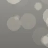 shabana_1230