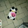 onggawaong