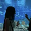 katrinaa86