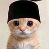 guin_tiktok60910