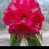 j.b.rawat38