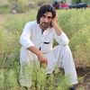 ahmadafridi696