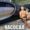 hoh_dog