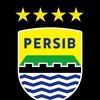 andri_raider
