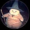 cat_lover7592