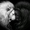 dyx72sd4hjyn