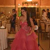 juliapetroni