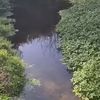 endless_puddle2