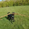 crazydogz101