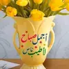 ali_19762