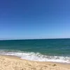 mammadona81