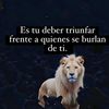 diegopedrope0101