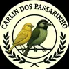 carl1n___