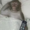 itsnitwhoyouthink
