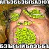 dorylom