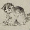 multiverseofcats4