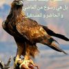 ابو ناصر