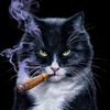 enclaveenjoyer07