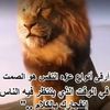 basrh777109992