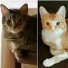 catmama112398