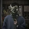 ali_6fp