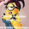 user4l7jkx5qoj