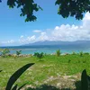 havanaohnahnah7
