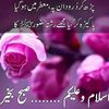 shaheefatima